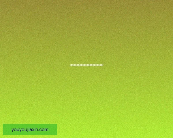 地下城与勇士男格斗职业转职全解析与技能搭配攻略